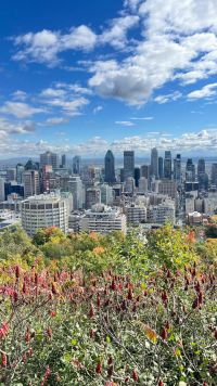 4ed61a23-3698-41dc-b087-8d60ca00f64a